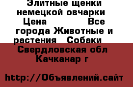 Элитные щенки немецкой овчарки › Цена ­ 30 000 - Все города Животные и растения » Собаки   . Свердловская обл.,Качканар г.